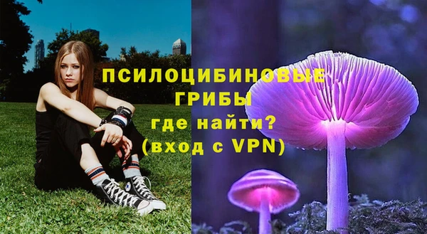 хмурый Михайлов