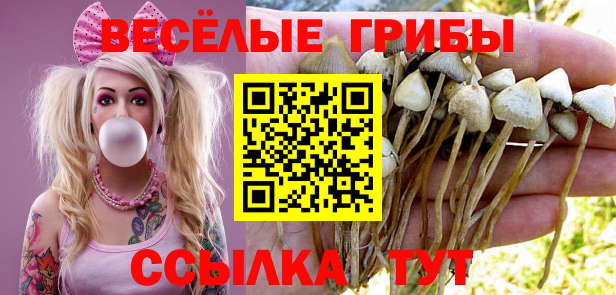 Псилоцибиновые грибы мухоморы  Вход с VPN  Сальск  Псилоцибиновые грибы GOLDEN TEACHER 
