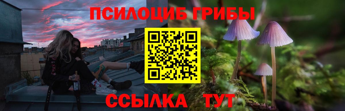 Псилоцибиновые грибы Magic Shrooms Сальск